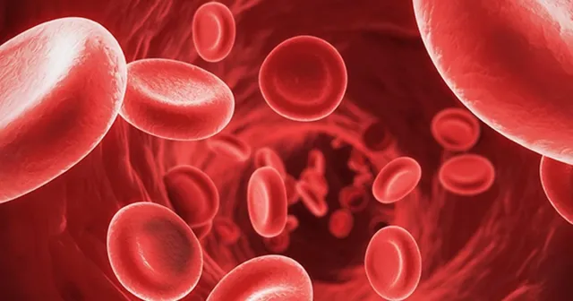 Stem Cell Transplantation Center from Blood and Bone Marrow