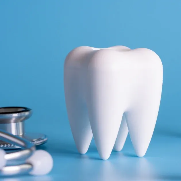Best-Value Dental Packages for a Healthier, Brighter Smile